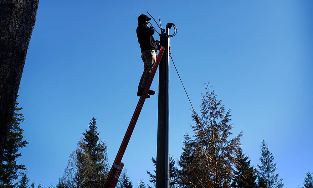 Nanaimo electrician Jaro Bixby standing at the top of a ladder working on a power pole